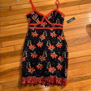 Lulus Embroidered Karina Dress